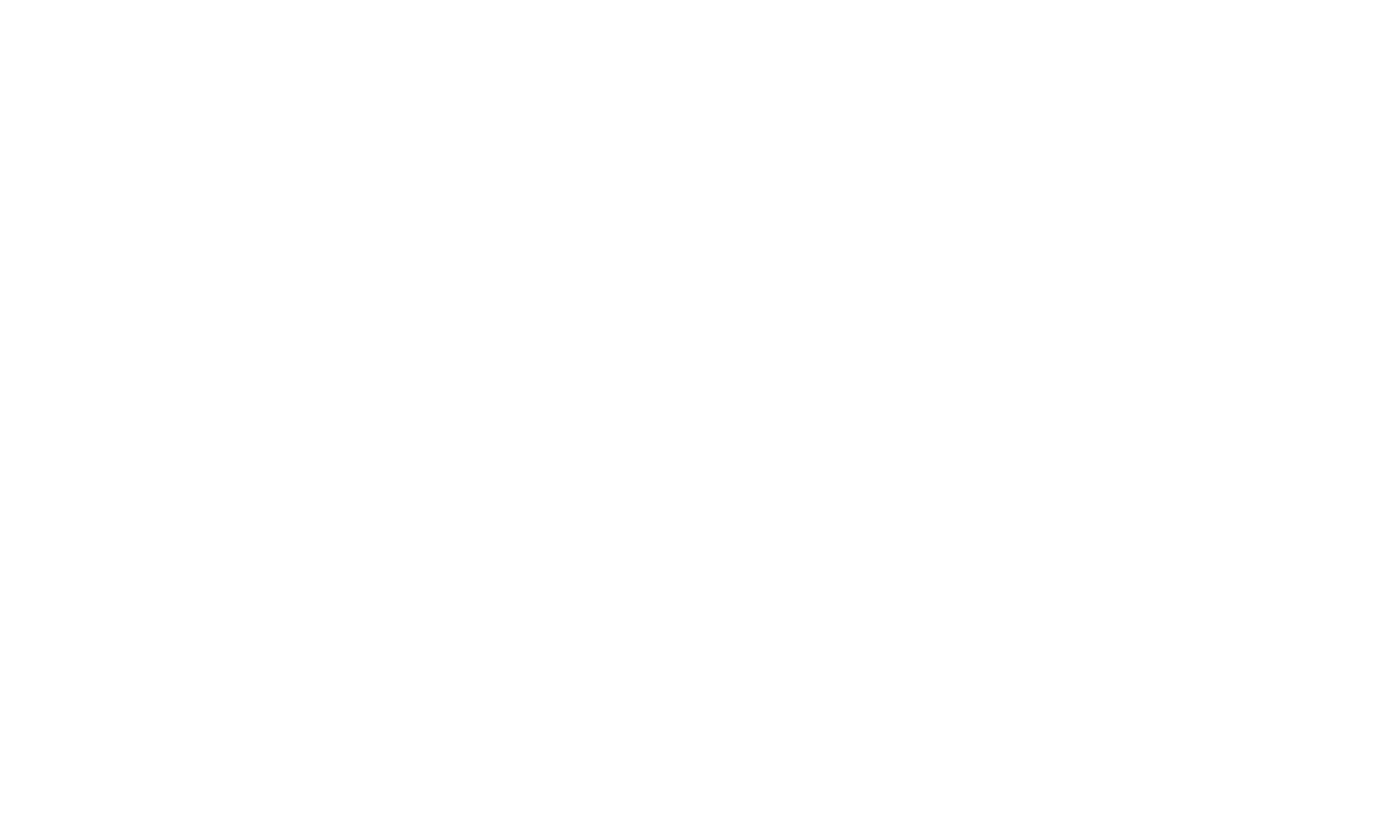 Logo_Vamp_professional Beauty